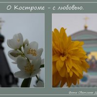 Фотопроект &quot;О Костроме с любовью&quot;. :: Светлана Дерепащук