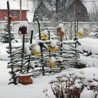 Кусочек лета в снегу :: Юлия Левикова