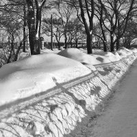 Узоры на снегу чб :: Valerii Ivanov
