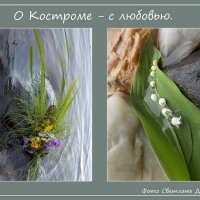 Фотопроект &quot;О Костроме с любовью&quot; :: Светлана Дерепащук