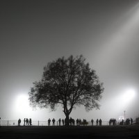 Гол в тумане :: Павел Эшов 