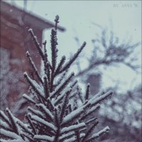 Зима :: Анна Ракович