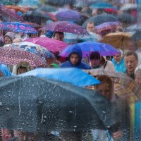 Дождь :: Андрей Гусев
