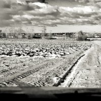 Дорога в снежном поле :: Евгений Тупиков
