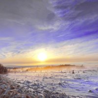 валдайские зарисовки (туман в мороз) :: юрий макаров