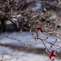 Freezing rain :: Irini Pasi