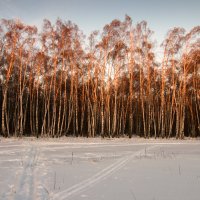 В закатном свете :: Олег Неугодников