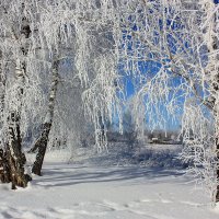 В снежном уборе. :: Наталья Юрова