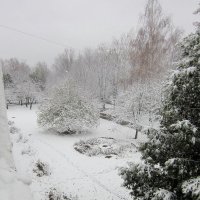 снег :: Екатерина Камандакова