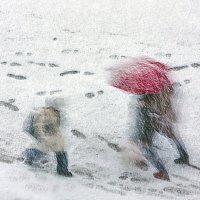 Снегопад :: Олег Самотохин