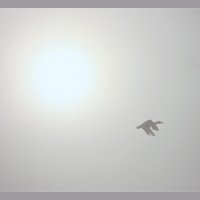 Полёт в тумане :: Олег Самотохин