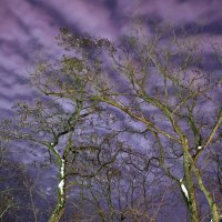 небо февраля через час после заката :: Vladislav Rogalev