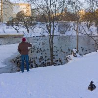 Городской пруд. :: Валерий Молоток