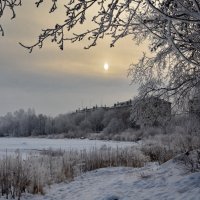 winter morning :: Dmitry Ozersky