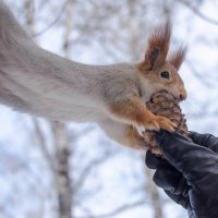 ... :: Светлана Винокурова