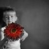 Девочка с цветком :: Дмитрий Догадкин