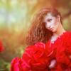 Red Rose :: Марина Зиновьева