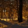 Ночь во дворе :: Andrey S.