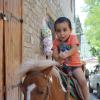 Езда на пони – лучший подарок для ребенка! :: Mail Mamedov