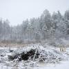 Зима в муромских лесах #2 :: Андрей Попов