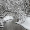 Снежный мост :: Alena Karpova