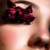 brume rose :: Natalia Dikova
