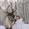 зимняя сказка :: Viktoriya Balaganskaya