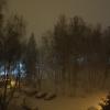 Первый снег :: novik Юрий Новиков