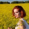 Желтые цветы :: Ирина Кононова