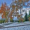 Сентябрь...Золотая осень и первый снег в парке! :: Владимир 