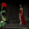 Роза и девушка в красном... :: Виктор Швецов