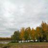 Осень, осень. Лес остыл и листья сбросил... :: Динара Каймиденова