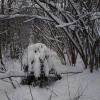 В Москве - снег и время ЧБ фотографии :: Андрей Лукьянов