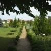 Ботанический сад :: Вера Щукина