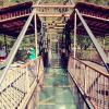 Пропасть под ногами: стеклянный мост в Бзыбском ущелье :: Елена (ЛенаРа)