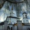У Вознесенской церкви... :: Владимир Шошин