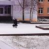 Майский снег на бульваре! :: Владимир 