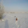 Мороз :: Anna Ivanova
