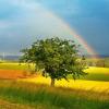 rainbow :: Elena Wymann