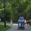 Прогулки в Парке Хуамин :: юрий поляков