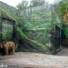 Летний день в ростовском зоопарке :: Нина Бутко