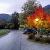 Осенний блюз, звучит в тиши.../Bayern Germany/ :: "The Natural World" Александер