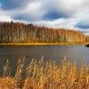 Осень в ноябре :: Милешкин Владимир Алексеевич 