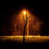 ночь, улица, фонарь... :: Павел Мамаев