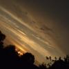 Захід сонця :: Сливка Вікторія