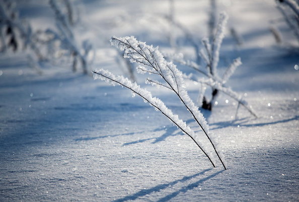 10 лучших советов для зимней фотосъемки
