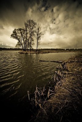 Выразительное улучшение фото в программе Фотошоп Лайтрум