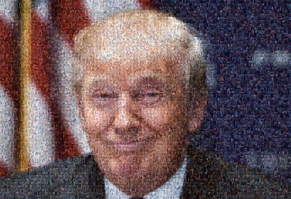 Вы не поверите! Мозаичный портрет Дональда Трампа из мужских членов