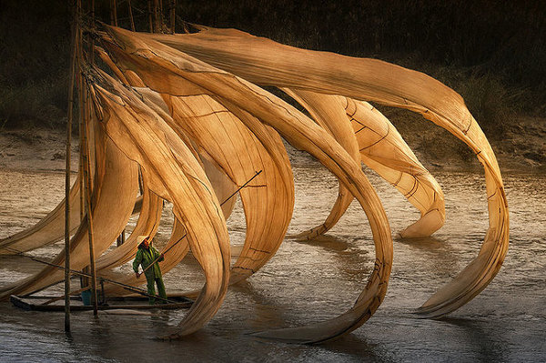 Sony World Photography Awards