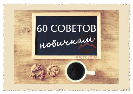 60 кратких советов для получения хороших снимков